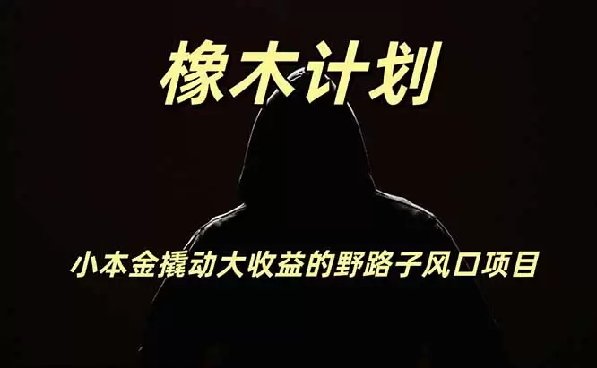 橡木计划，小投入撬动高回报的风口野路子项目，一天投入2小时左右|青心网创站