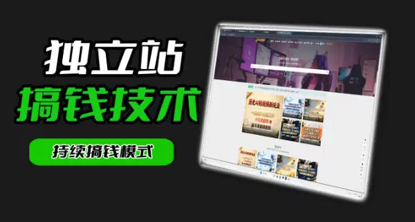 干货来袭！麦子甜带你吃透独立站｜从搭建到引流一站式教学《独立站》第一期|青心网创站