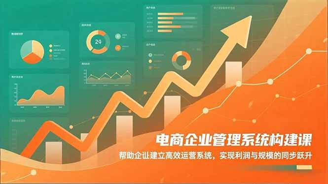 （16643期）电商企业管理系统构建课：帮助企业建立高效运营系统，实现利润与规模的同步跃升-青心网创站