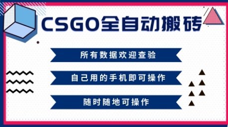 CSGO全自动搬砖,年底钱回家好项目,当天可拿到结果,新手小白轻松月入1W+【揭秘】-青心网创站