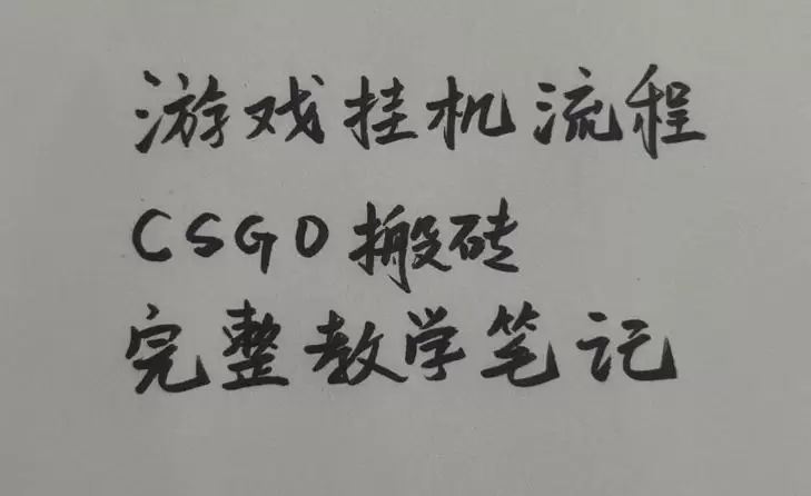 游戏挂G全流程笔记分享，CSGO游戏搬砖，小白看了当天学会见收益【揭秘】|青心网创站