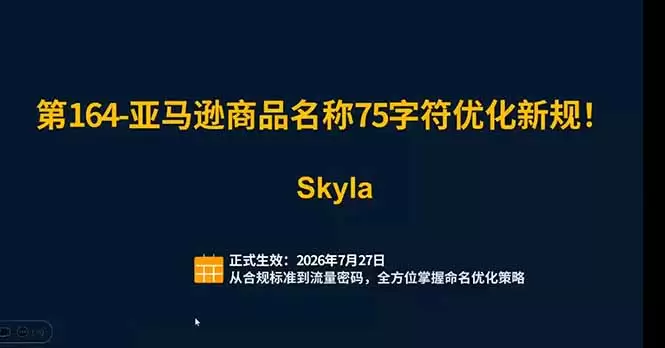 亚马逊跨境实战课：全品类选品逻辑｜SP/SB/SD广告精细化｜新品打爆旺季爆单全套运营教程|青心网创站