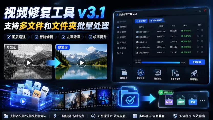 视频修复工具v3.1，支持多文件和文件夹批量处理 - 青心资源站