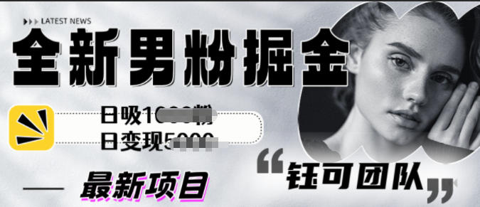 全新男粉掘金思路日吸粉100+日变现1k+-青心网创站