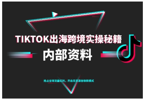 TikTok跨境电商0-1搭建运营，TK出海跨境实操秘籍（10月更新）-青心网创站