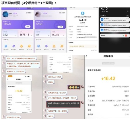 当天能收益的3个小项目拆解_包括平台+操作流程-青心网创站