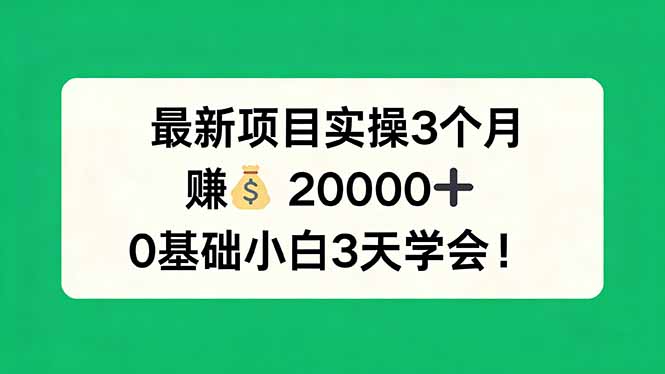 最新项目实操3个月，赚钱20000+，0基础小白3天学会！|青心网创站