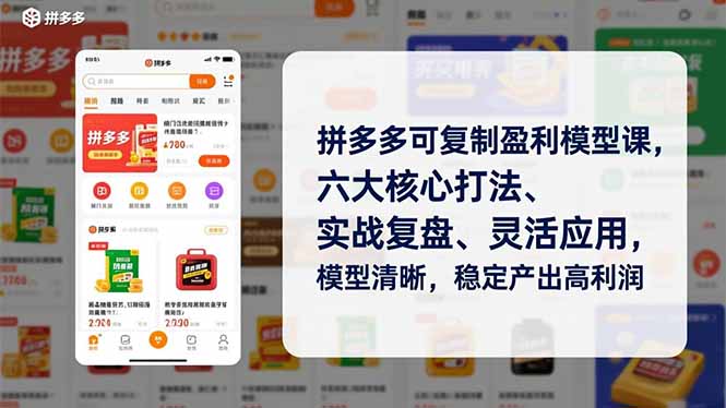 拼多多可复制盈利模型课，六大核心打法、实战复盘、灵活应用，模型清晰，稳定产出高利润青心网创青心网创站