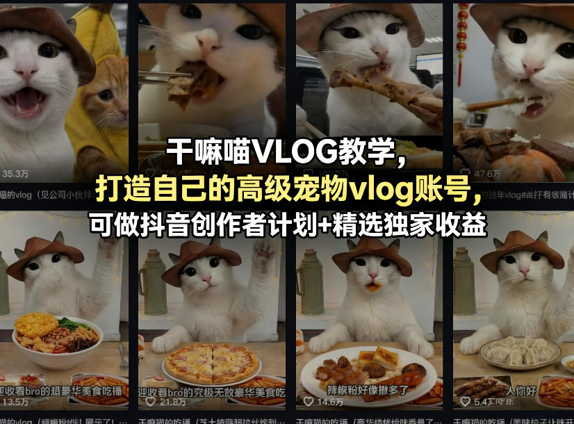 干嘛喵VLOG教学,打造自己的高级宠物vlog账号,可做抖音创作者计划+精选独家收益|青心网创站