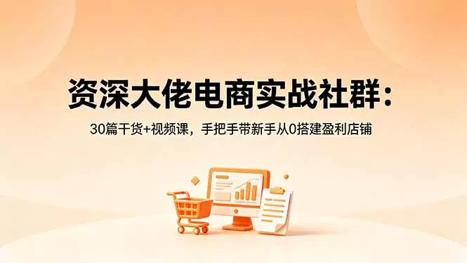 资深大佬电商实战社群：30篇干货+视频课，手把手带新手从0搭建盈利店铺|青心网创站