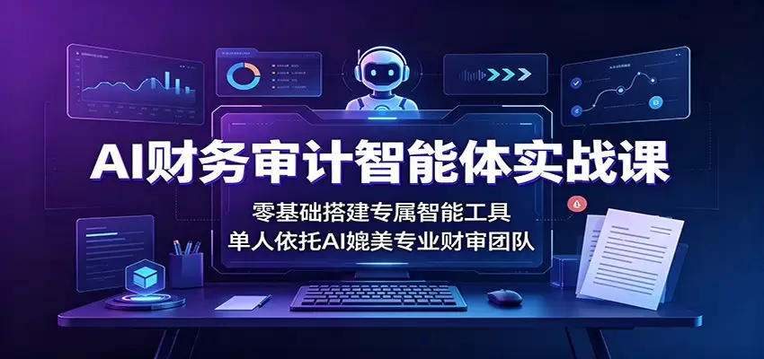 AI财务审计智能体实战课：零基础搭建专属智能工具，单人依托AI媲美专业财审团队|青心网创站