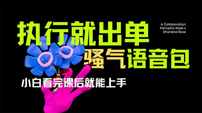 （14170期）爆火全网的开车导航骚气语音包,只要执行就出单，小白看完课程就能实操...-青心网创站