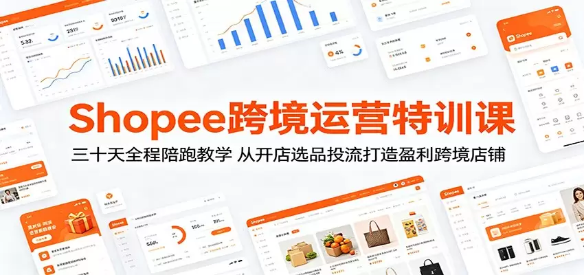 Shopee跨境运营特训课：三十天全程陪跑教学，从开店选品投流打造盈利跨境店铺|青心网创站