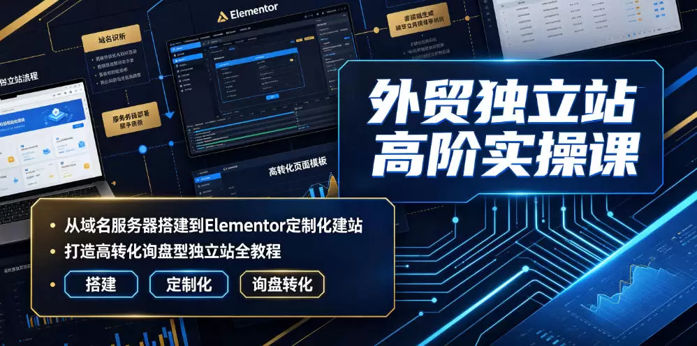 外贸独立站高阶实操课｜从域名服务器搭建到Elementor定制化建站，打造高转化询盘型独立站全教程|青心网创站