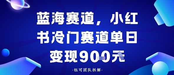 小红书冷门蓝海赛道,0成本,单日变现多张-青心网创站