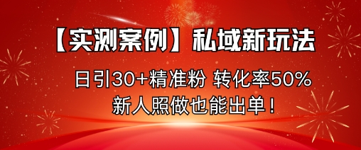 【实测案例】私域新玩法，日引30+精准粉，转化率50%，新人照做也能出单！-青心网创站
