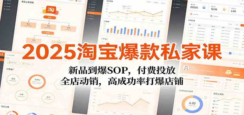 2025淘宝爆款私家课：新品到爆SOP，付费投放，全店动销，高成功率打爆店铺青心网创青心网创站