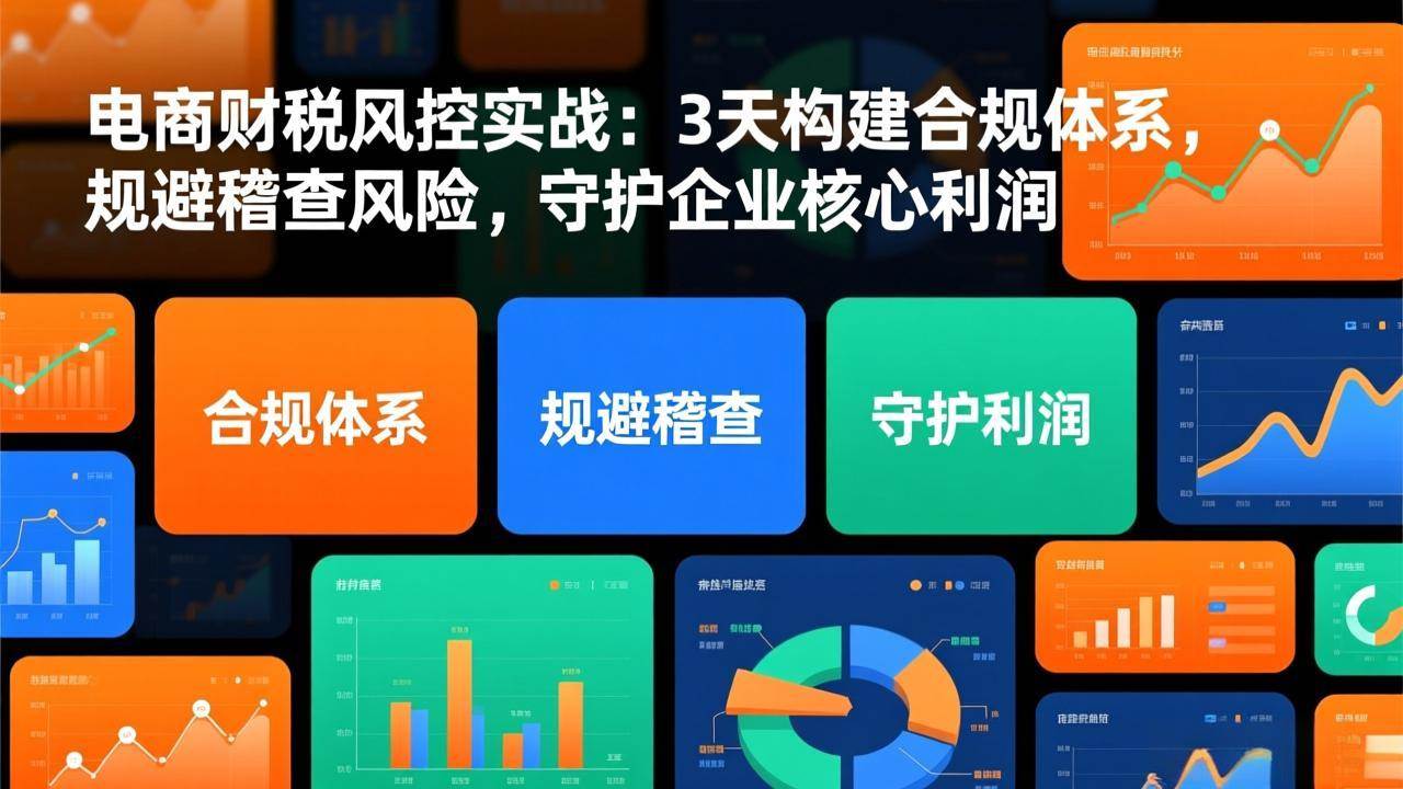 （17197期）电商财税风控实战：3天构建合规体系，规避稽查风险，守护企业核心利润青心网创青心网创站
