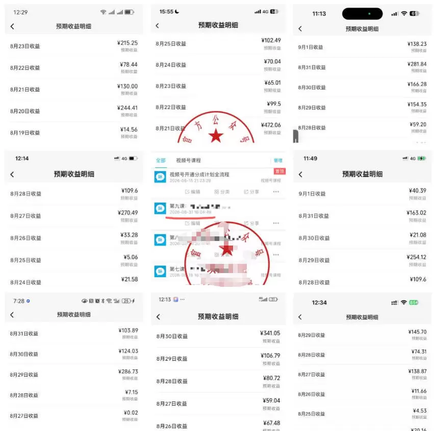 最新视频号创作者分成计划项目，十大高单价赛道，掌握AI内容制作，新手小白也能月入8k+ - 青心资源站