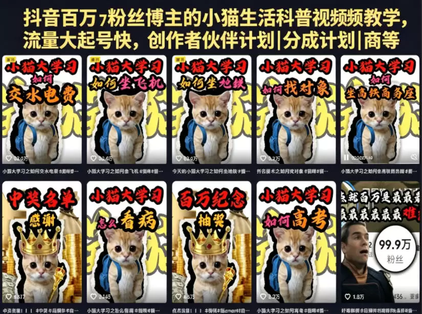 抖音百万粉丝博主的小猫生活科普视频教学，流量大起号快，创作者伙伴计划|分成计划|商单|收徒等|青心网创站