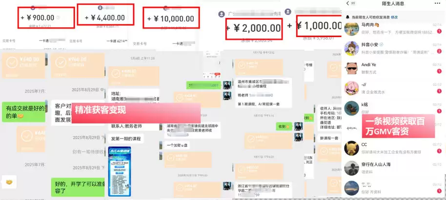 IP+爆款视频训练营，带你用最低成本跑通个人IP从0到1涨粉，从流量到现金的完整闭环|青心网创站