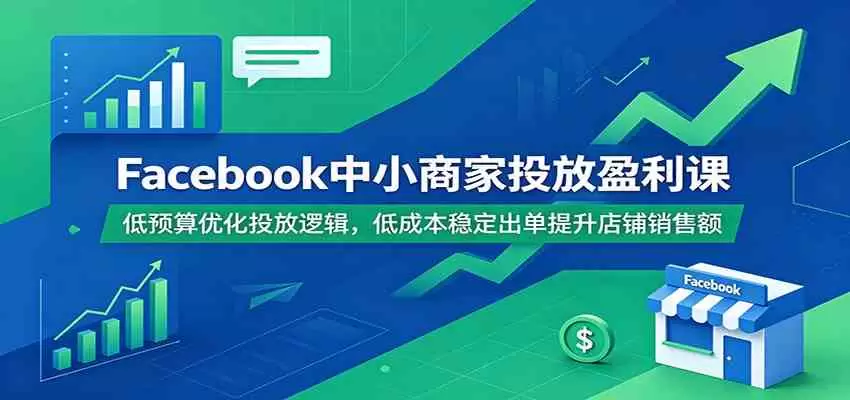 Facebook中小商家投放盈利课：低预算优化投放逻辑，低成本稳定出单提升店铺销售额|青心网创站