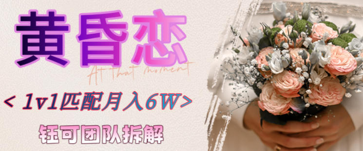 副业拆解：黄昏恋1对1匹配月入6个，潜力巨大-青心网创站