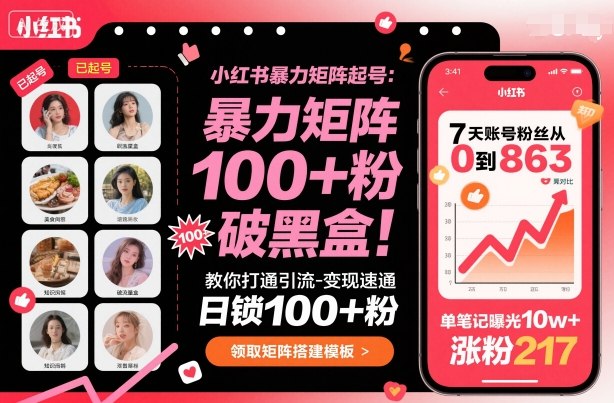 小红书暴力矩阵起号，教你打通引流-变现速通，日锁100+粉，破流量黑盒-青心网创站