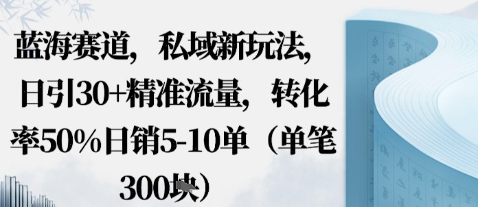 蓝海赛道，私域新玩法，日引30+精准流量，转化率50%日销5-10单（单笔3张）-青心网创站