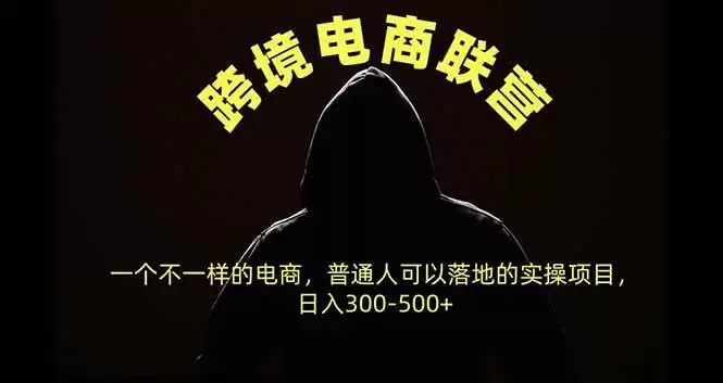（20702期）跨境电商联营，一个不一样的电商，普通人可操作日入300-500+ - 青心资源站