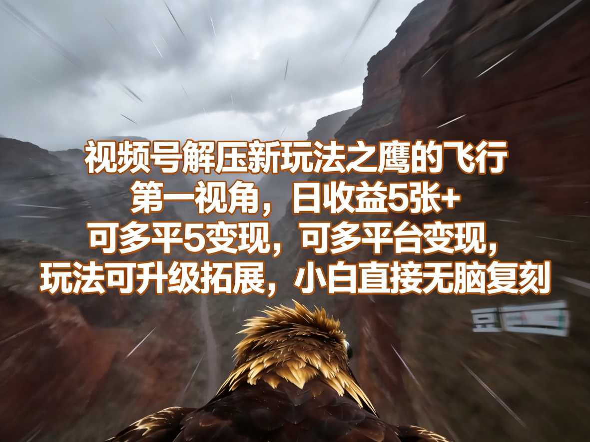 视频号解压新玩法之鹰的飞行第一视角,日收益5张+,可多平台变现,玩法可升级拓展,小白直接无脑复刻|青心网创站