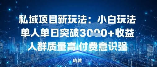 私域项目新玩法：小白玩法单人单日突破1k收益人群质量高付费意识强-青心网创站