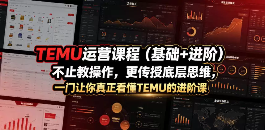 TEMU运营课程(基础+进阶)，不止教操作，更传授底层思维，一门让你真正看懂TEMU的进阶课|青心网创站
