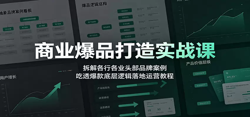 商业爆品打造实战课：拆解各行各业头部品牌案例，吃透爆款底层逻辑落地运营教程|青心网创站