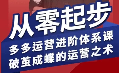 拼多多运营进阶系统课，从零起步，多多运营进阶体系课，破茧成蝶的运营之术（更新26年4月）|青心网创站